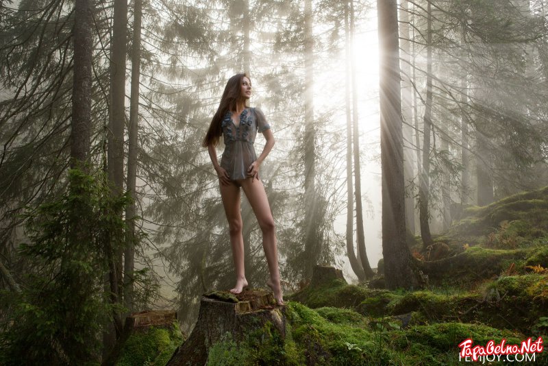 Летние фотографии голых девушек в лесу фото